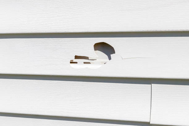 Siding for New Construction in Mount Vista, WA