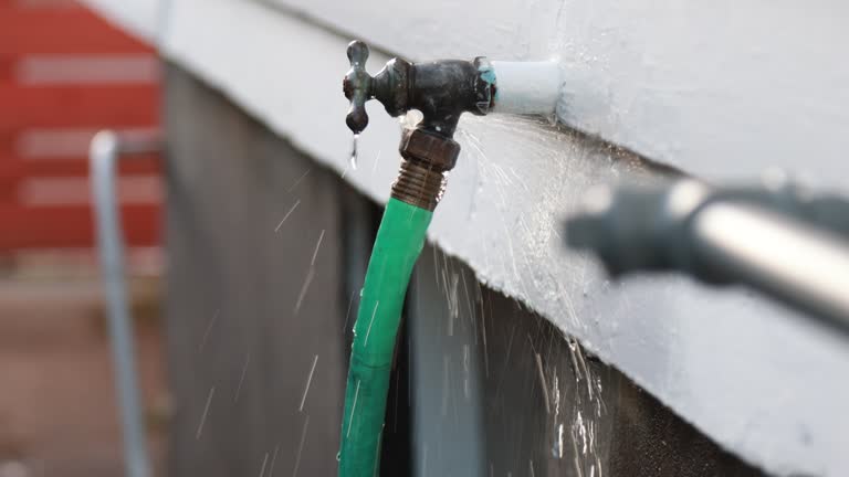 Best Siding Painting and Refinishing  in Mount Vista, WA